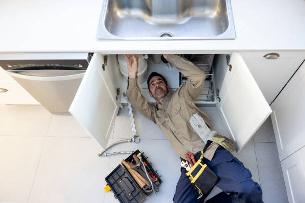 Best Clogged Drain Plumber  in Spring Valley, WI