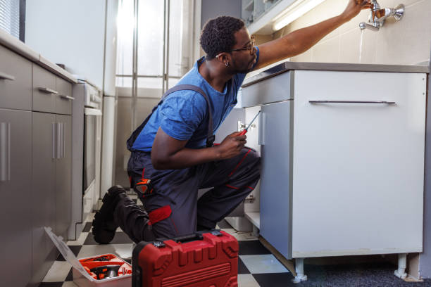 Best Plumbing Repair Near Me  in Spring Valley, WI